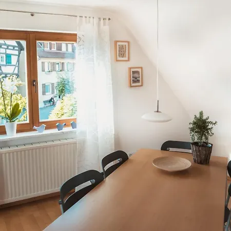 公寓 Obsthaus Apfel 西普林根